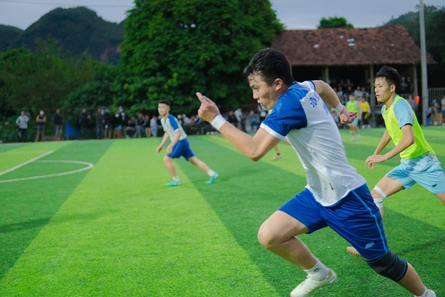 他们不仅彰